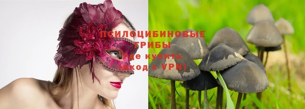 PSILOCYBIN Осташков