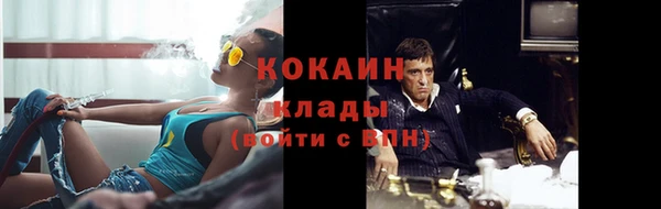 PSILOCYBIN Осташков