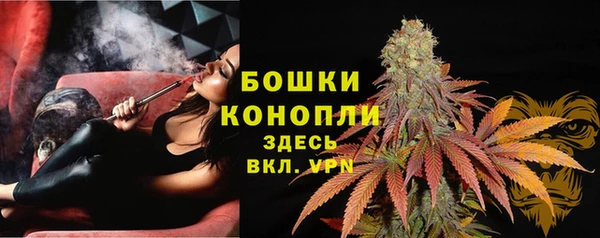 PSILOCYBIN Осташков